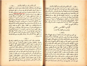 كاهن قبل الإسلام اسمه سطيح يتنبأ بابن المهدي 