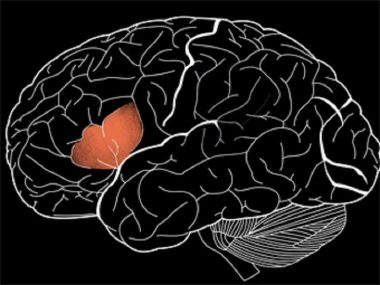 منطقة بروكا في الدماغ