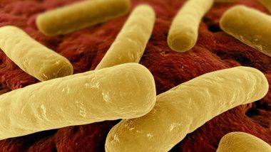 "Clostridium Difficile" بكتريا