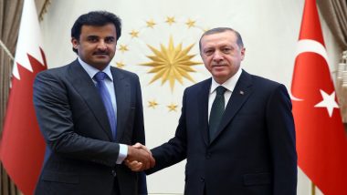 الرئيس التركي رجب طيب أردوغان وأمير قطر تميم بن حمد آل ثاني