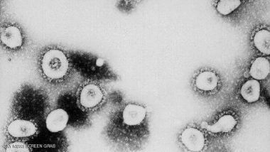 CDC Says SARS Might Be A Form Of The Coronavirus