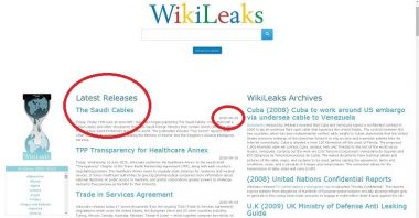 www.wikileaks.org