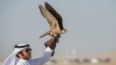 إطلاق سراح مواطن قطري مختطف في العراق